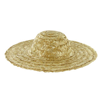 Hobby lobby mini straw hats Clearance